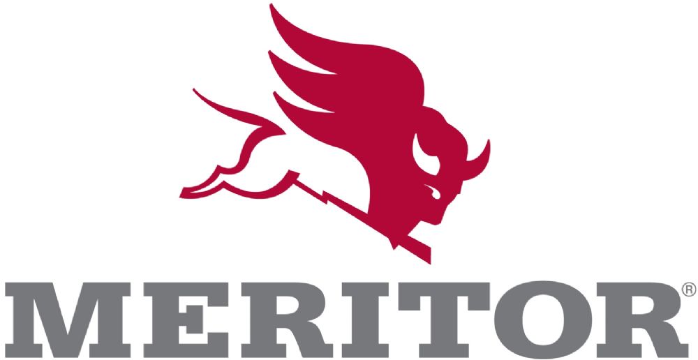 Meritor Paralar